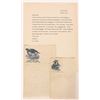Image 1 : Civil War Letter w/Illustrated Letterheads (2)  [182369]