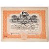 Image 1 : Red Sox Stock Cert Issued br Jimmy McAleer-1913  [176377]
