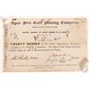 Image 1 : Aqua Fria Gold Mining Stock, c. 1850's, Rare  [182142]