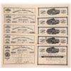 Image 1 : Massachusetts and New Mexico Con MC, 10, 1882-83  [180203]