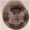 Image 2 : Silver Eagle BU Roll 1989  [181887]