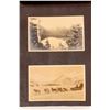 Image 8 : Alaska/Washington Vintage Photo Album  [180730]