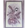 Image 2 : Picture of birds