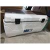 Image 1 : IGLOO MaxCold 165qt hard shell cooler