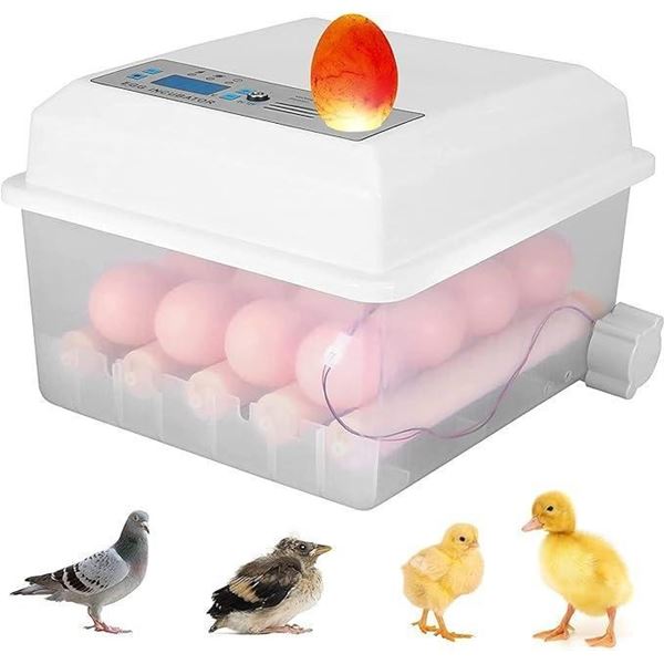 Egg Incubator, Egg Incubator Brooder, 16 Eggs Automatic Digital Incubator, Household Bird Quail Chic