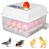 Image 1 : Egg Incubator, Egg Incubator Brooder, 16 Eggs Automatic Digital Incubator, Household Bird Quail Chic