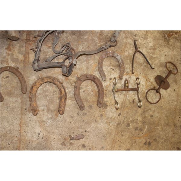 Horse shoes,  Horse bit