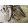 Image 4 : Vintage horse hames