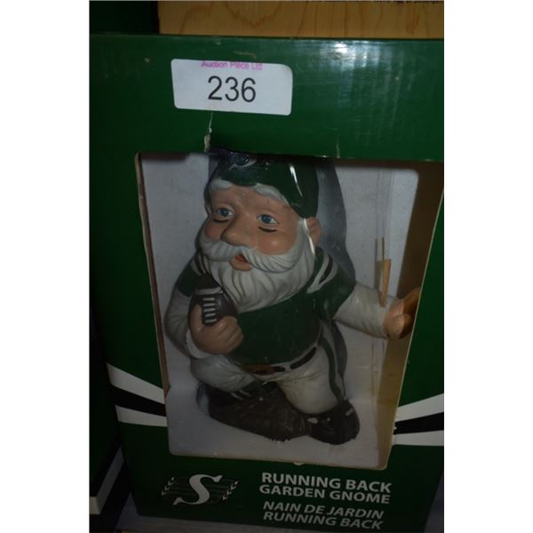 Saskatchewan Roughriders running back garden