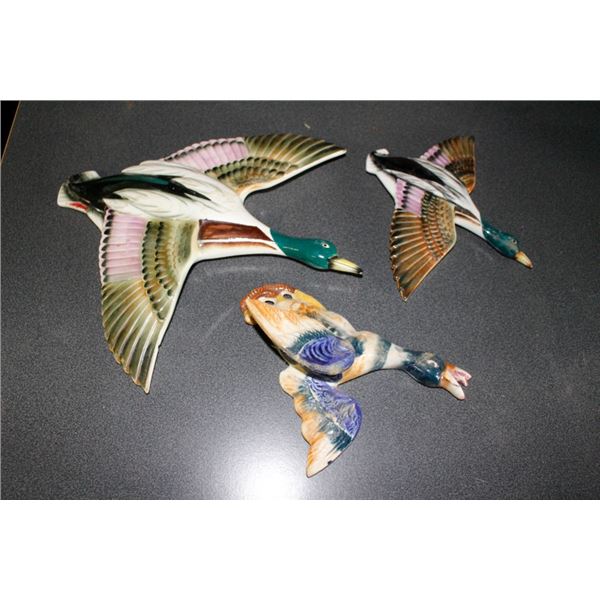 Duck ornaments