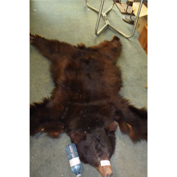Bear pelt rug