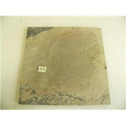 Tile - approx. 138, 16x16, Autumn fall (123)