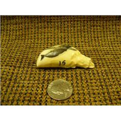 Whale Tooth - very fine in detail scrimshaw of breaching whale 2.5" long  (33)