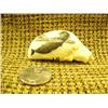 Image 3 : Whale Tooth - very fine in detail scrimshaw of breaching whale 2.5" long  (33)