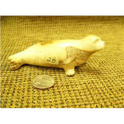 Very plump bone seal 4.5" long Imported (33)