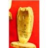 Image 4 : Lot of 37: various ivory and bone pieces - approx. retail value of lot $2505.00 (33)