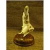 Image 3 : Porpoise sculpture made of antler on wood base 8" tall Imported (33)