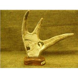 Moose Antler carving of a bear and Southeast Alaskan motif on wood base 11" tall 10" wide Imported (