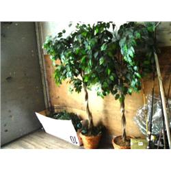 Lot of: 2 artificial trees and Christmas tree (153)