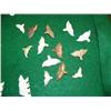 Image 2 : Lot of Approx. 163: whales, salmon, halibut, billikens, tie tacks, Alaska Native animals, frogs, sea