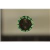 Image 2 : SOLID DATE $5 ROLL OF 2009-D ROOSEVELT DIMES.