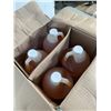 Image 3 : CASE OF CARNIVAL KING PEACH SLUSH, 4-1 GALLON JUGS
