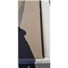 Image 2 : NEW 12FT X 20FT ROLL OF CARPET