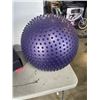 Image 2 : EXERCISE BALL, THIGHMASTER AND FITNESS STEP