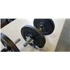 Image 2 : TWO DUMBELLS