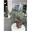 Image 2 : ARTIFICIAL PLANT IN POT