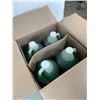 Image 3 : CASE OF CARNIVAL KING LEMON LIME SLUSH, 4-1 GALLON JUGS