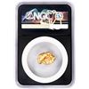 Image 2 : 4.25 Gram Arizona Gold Nugget NGC Vaultbox Unvaulted