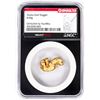 Image 1 : 8.04 Gram Alaska Gold Nugget NGC Vaultbox Unvaulted