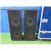 Image 2 : Qty 2 JBL 4894 Array Series Speakers in Hard Case