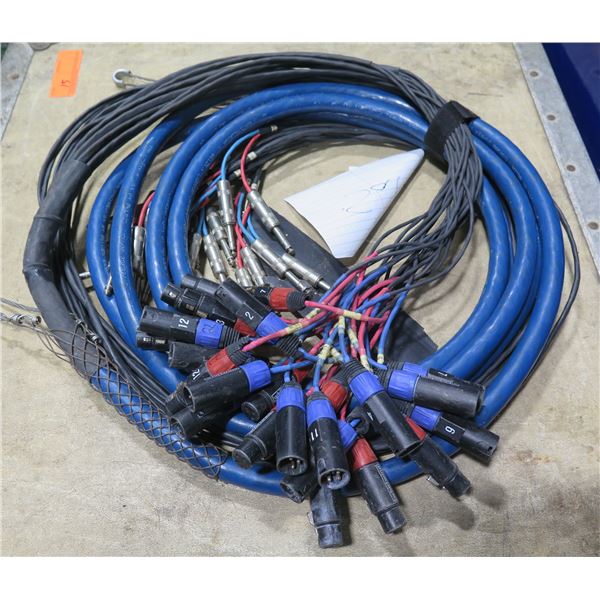 Audio Snake Multi-Channel Cable