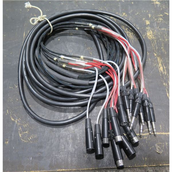 Audio Snake Multi-Channel Cable