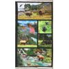 Image 2 : 7.5 M of New 100% Cotton Fabric - 44" Wide