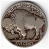Image 2 : 1917 Buffalo Nickel 2 Feather
