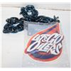 Image 1 : NEW EDMONTON OILERS NECKCHAIN