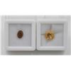 Image 1 : #247-CITRINE 3.00CT & TOURMALINE 0.85 CT  GEMSTONE