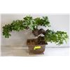 Image 1 : BONSAI TREE ON REAL WOOD TREE W/METAL URN