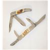 Image 1 : 2 NEW TWIN TREE "BONE HANDLED" FOLDING KNIVES