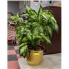 Image 1 : 3FT ARTIFICIAL PLANT WITH BRASS POT