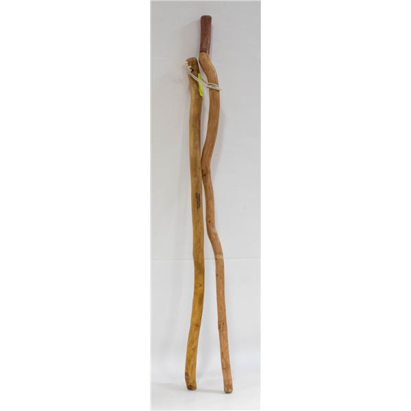 WALKING STICKS