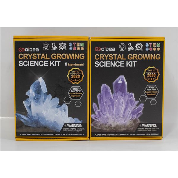 LOT OF 2 CRYSTAL GROWING SCIENCE KITS