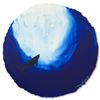 Image 3 : Deep Sea Shark by Wyland Original
