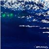 Image 2 : Untitled by Wyland Original