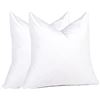 Image 1 : Lot of 1 Box of PureDown Feather Throw Pillow Inserts - Set of 2 - 20 x 20 inch Size - BRAND NEW!