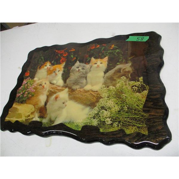 ESTATE:  PICTURE OF KITTENS