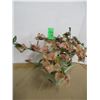 Image 2 : PLANT & POT